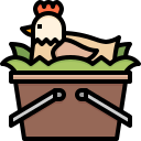 pollo icon