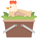 pollo icon