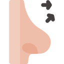 rinoplastia 