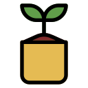 planta en crecimiento