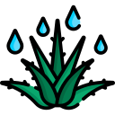 aloe vera icon