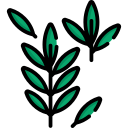 té verde icon