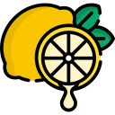 limón icon