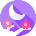 luna icon