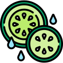 pepino icon