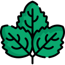 menta icon