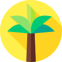 palmera icon