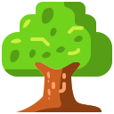 Árbol