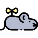 ratón