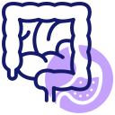 intestino icon