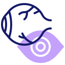 ojo icon