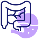 intestino icon