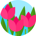 flores icon