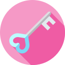 llave icon