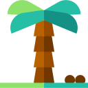 palmera