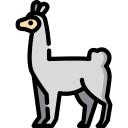 llama 