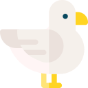 gaviota icon