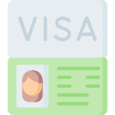 visa icon