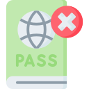 pasaporte icon