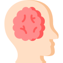 cerebro icon