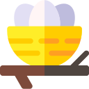 nido icon