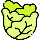 repollo icon