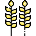 trigo icon