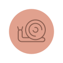 caracol 