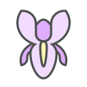 iris icon