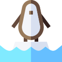 pingüino icon