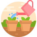 Watering plants 