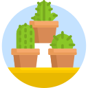 cactus icon