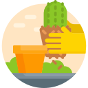 replantar icon