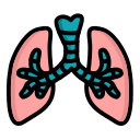 pulmones icon