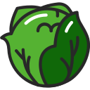 kohl 