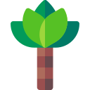 palmera icon