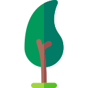 pitch pine icon