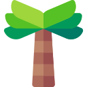 palmera icon