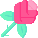 rosa