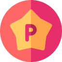 punto icon