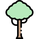 Árbol icon