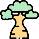 baobab icon