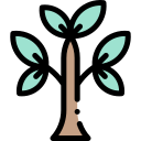 Árbol icon