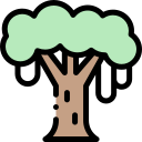 Árbol 