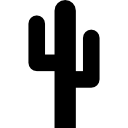 cactus du mexique Icône