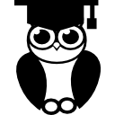 Graduation Owl