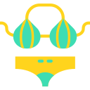 bikini icon