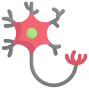 neurona 