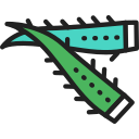 aloe vera icon