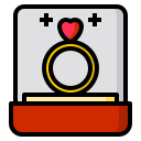 anillo icon